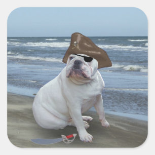 Bulldog pirate square sticker