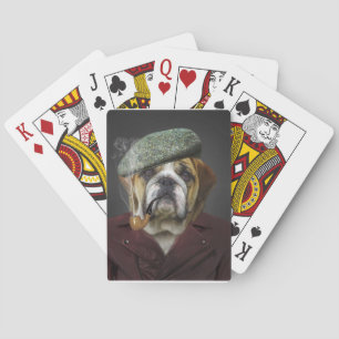 bulldog playing cards