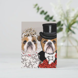 Bulldog postcard