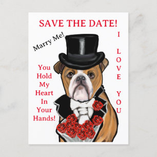 Bulldog postcard