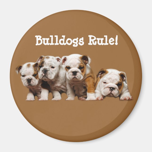 Bulldog Puppies Magnet (Front)