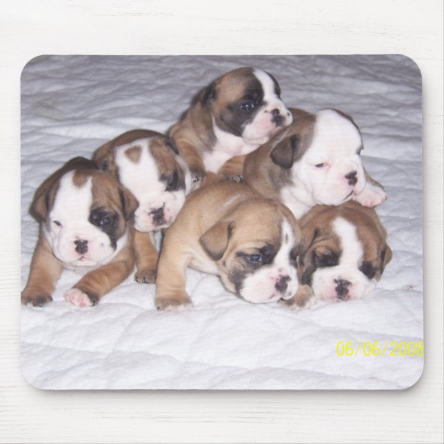 bulldog puppies mouse mat (Front)