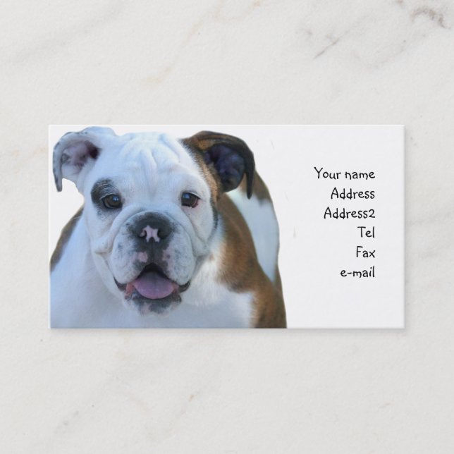 Bulldog puppy business cards (Front)