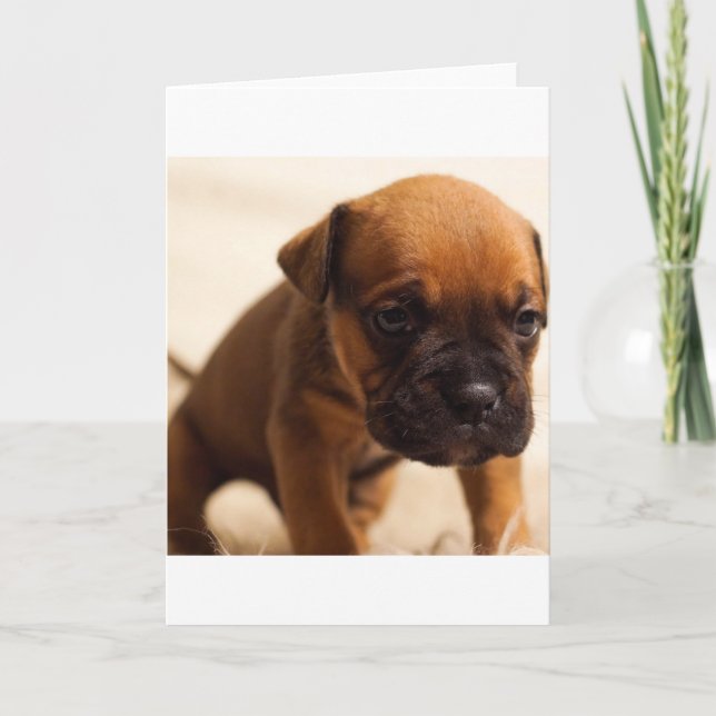 bulldog puppy card (Front)