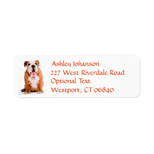 Bulldog Puppy Dog Return Address Name Label (Front)