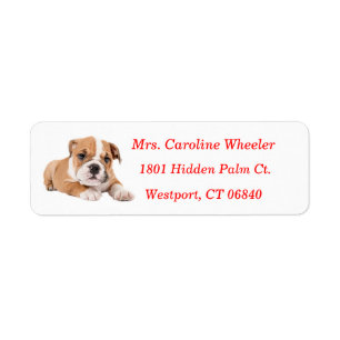 Bulldog Puppy Dog Return Address Red Name