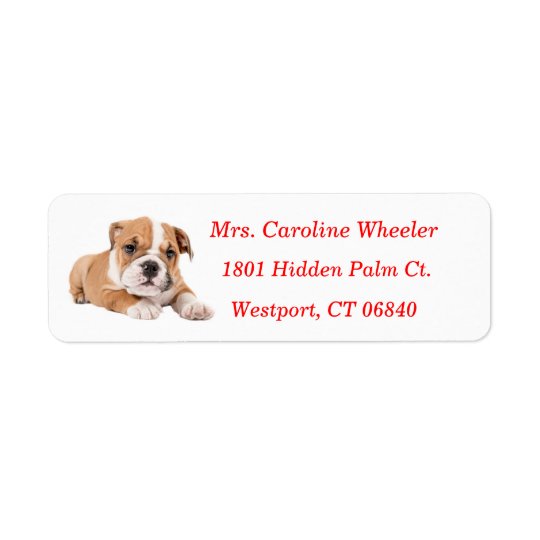 Bulldog Puppy Dog Return Address Red Name Return Address Label