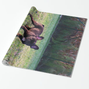 Bulldog Puppy In Grass Photo Cute Bulldog Lover Wrapping Paper