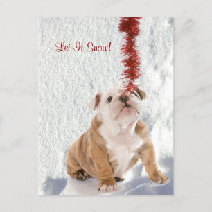 Bulldog Puppy Let It Snow #2 Holiday Greeting