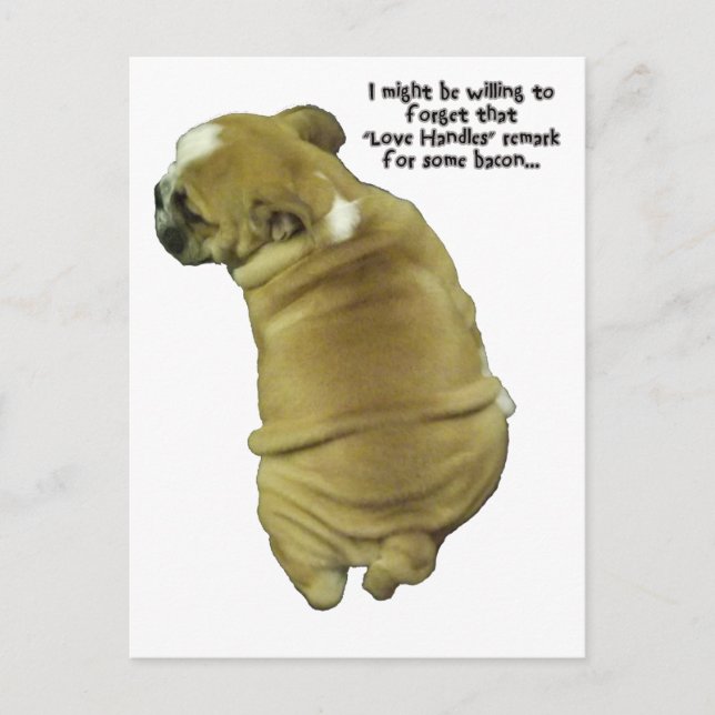 Bulldog Puppy Love Handles and Bacon Postcard (Front)
