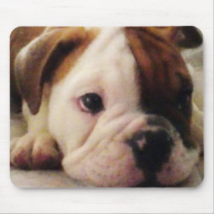 Bulldog puppy mouse mat
