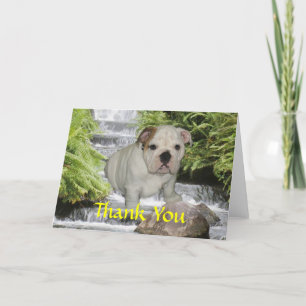 Bulldog Puppy Thank You Card