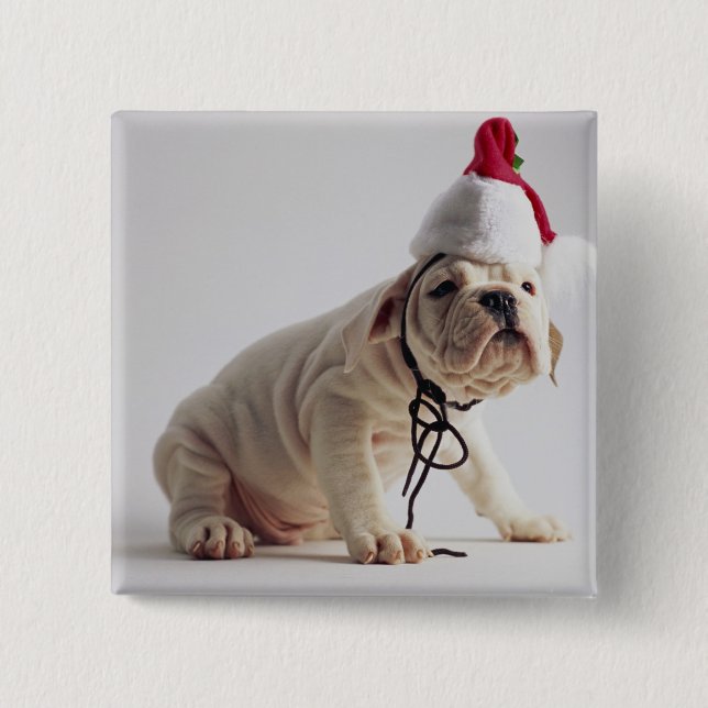 Bulldog Puppy Wearing Santa Hat 15 Cm Square Badge (Front)
