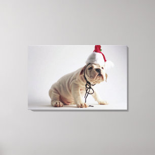 Bulldog Puppy Wearing Santa Hat Canvas Print