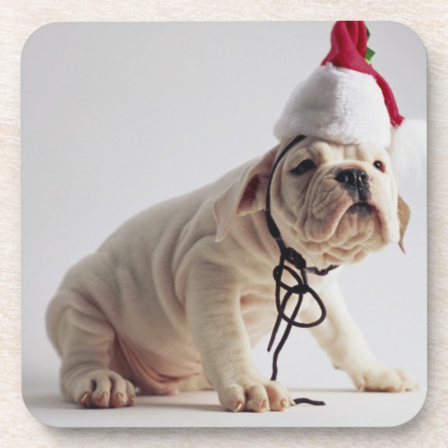 Bulldog Puppy Wearing Santa Hat Coaster (Front)
