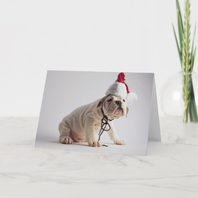 Bulldog Puppy Wearing Santa Hat Holiday Card (Front)