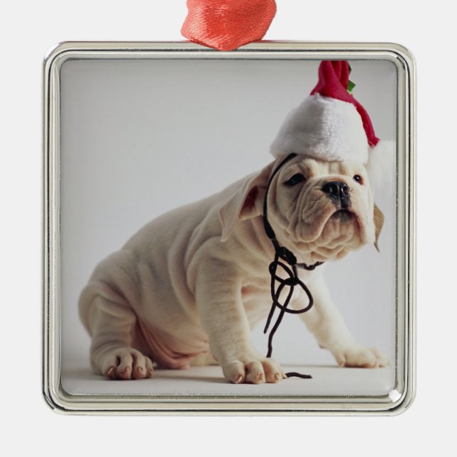 Bulldog Puppy Wearing Santa Hat Metal Tree Decoration (Front)