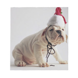 Bulldog Puppy Wearing Santa Hat Notepad