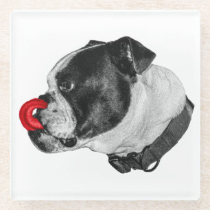 Bulldog Red Accent Coaster