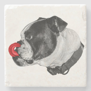 Bulldog Red Accent Coaster