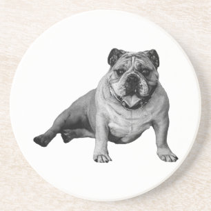 Bulldog Relaxation Moment Coaster