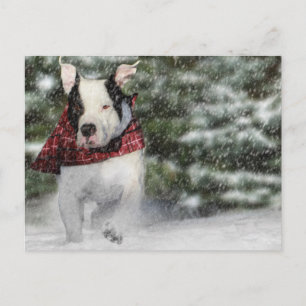 Bulldog Rescue Pup Dashing through the Snow Postcard