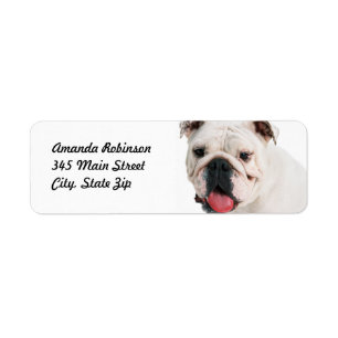 Bulldog Return Address Label