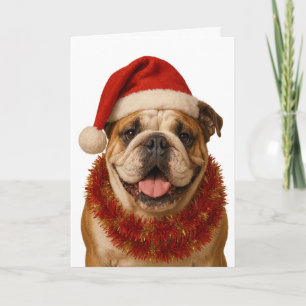 Bulldog Santa hat Christmas card