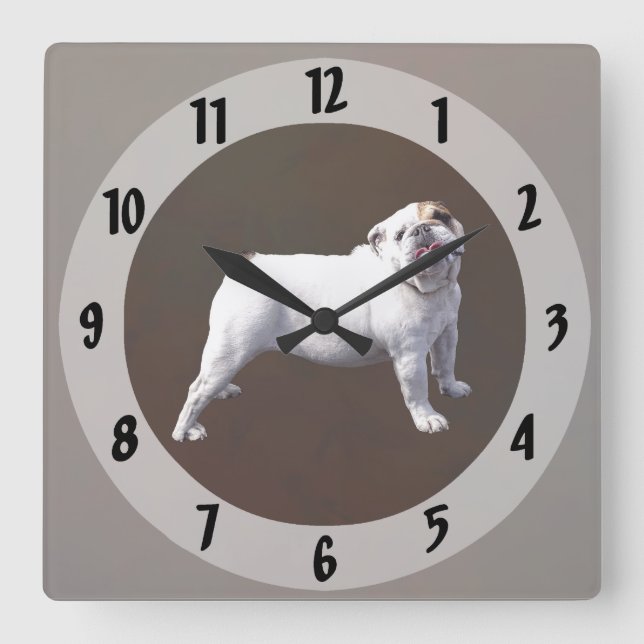 Bulldog Standing Tall Square Wall Clock (Front)