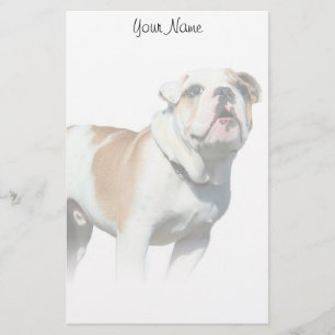 Bulldog stationary stationery