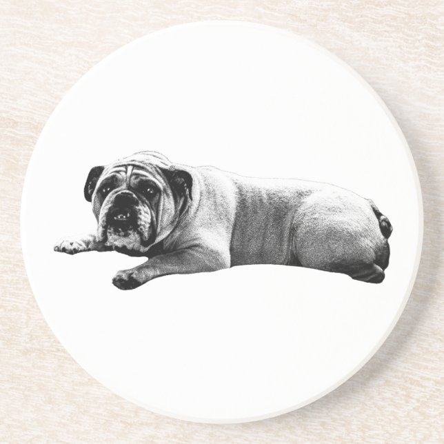 Bulldog Still Moments Coaster (Front)