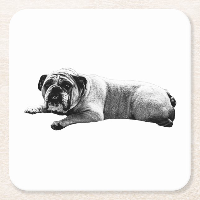 Bulldog Still Moments Square Paper Coaster (Front)