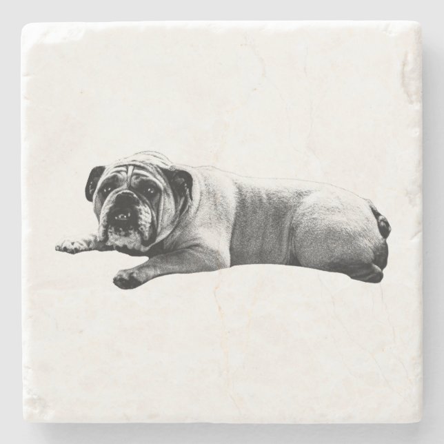 Bulldog Still Moments Stone Coaster (Front)