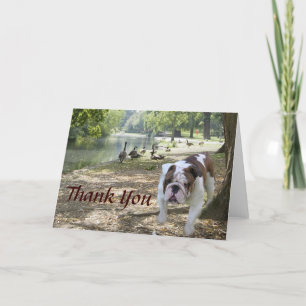Bulldog Thank You Card