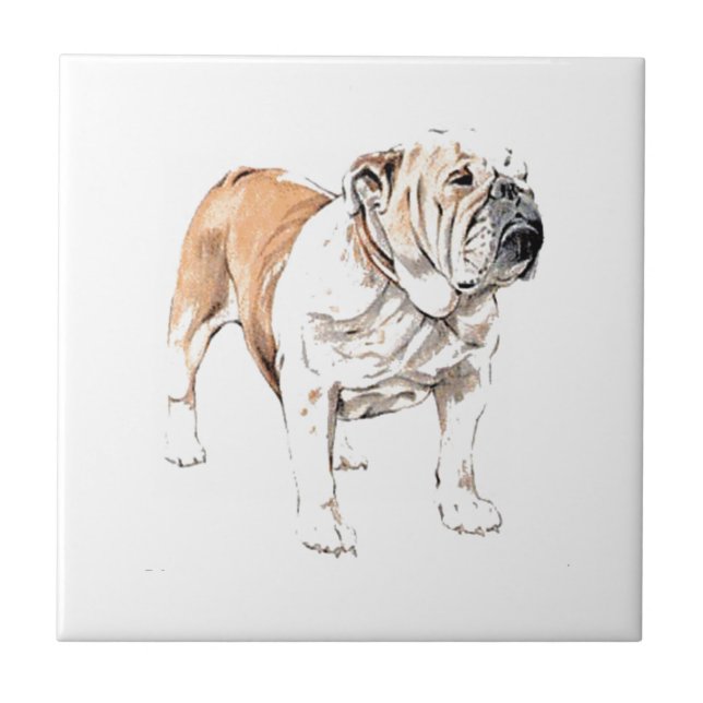 Bulldog Tile (Front)