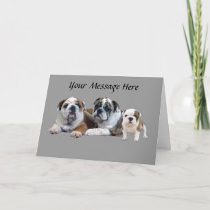 Bulldog Trio Greeting Card