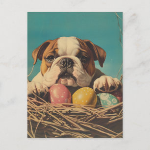 Bulldog Vintage Easter Postcard