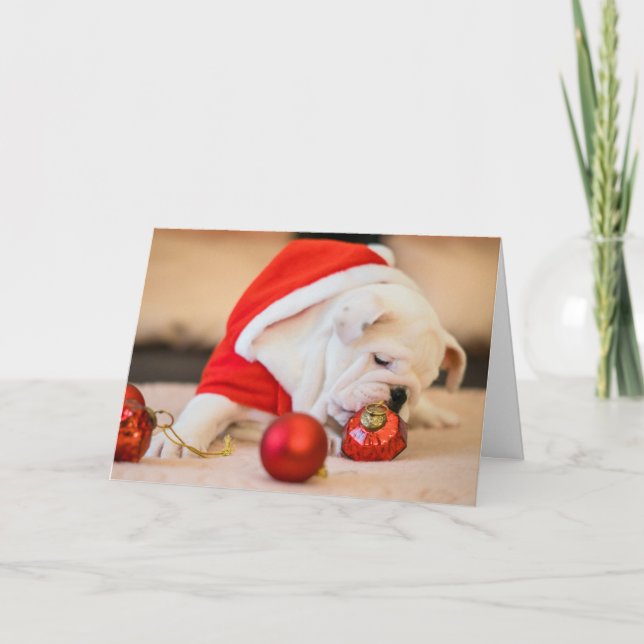 BULLDOG W/ CHRISTMAS BALLS Folded Greeting Card (Front)