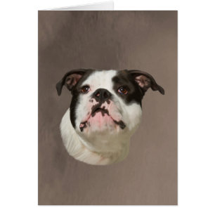 Bulldog Water Colour Art Painting