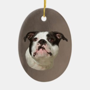 Bulldog Water Colour Art Painting Ceramic Tree Decoration