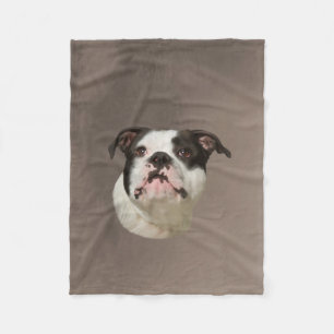 Bulldog Water Colour Art Painting Fleece Blanket