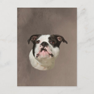 Bulldog Water Colour Art Painting Postcard