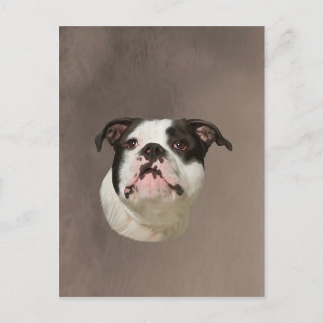 Bulldog Water Colour Art Painting Postcard (Front)