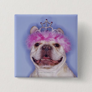 Bulldog wearing tiara 15 cm square badge