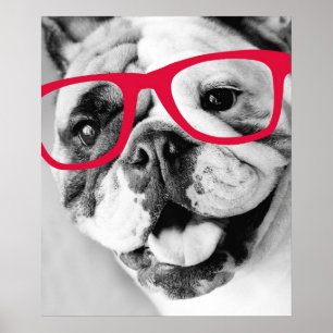 Bulldog With Glasses Print