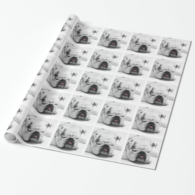 Bulldog Wrapping Paper (Unrolled)