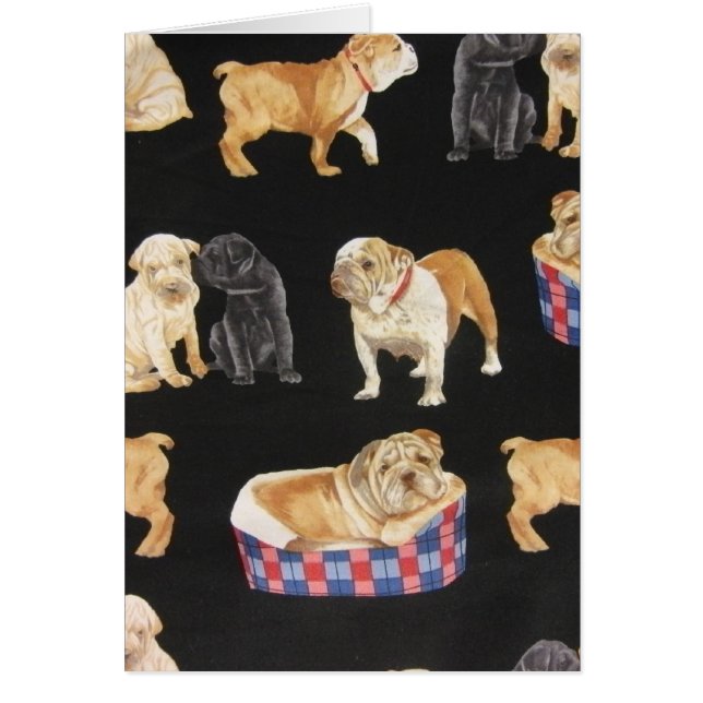 Bulldogs & Shar Peis (Front)
