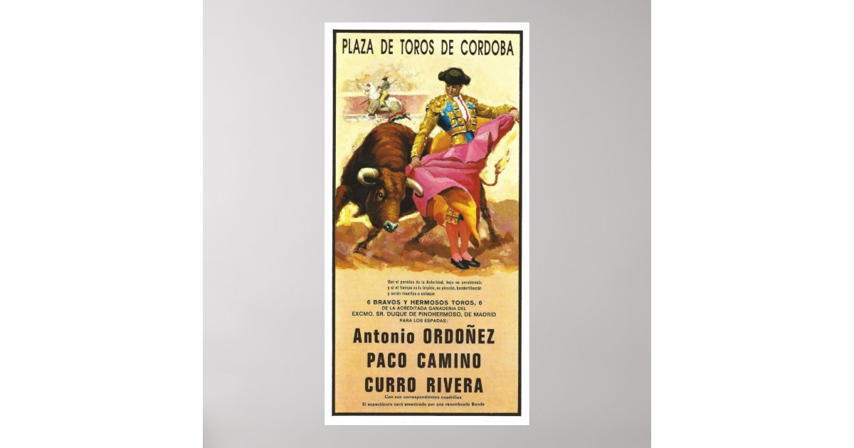Bullfighting argumentative essay Bullfighting argumentative essay picture