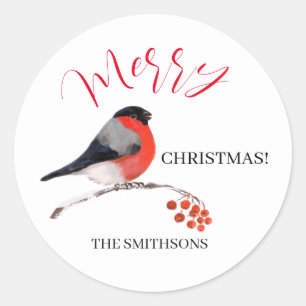 Bullfinch and red Rowan berries, Merry Christmas! Classic Round Sticker