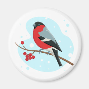Bullfinch. Beautiful winter Magnet